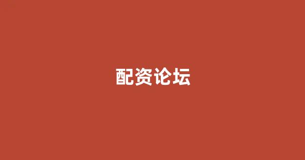摆渡配资